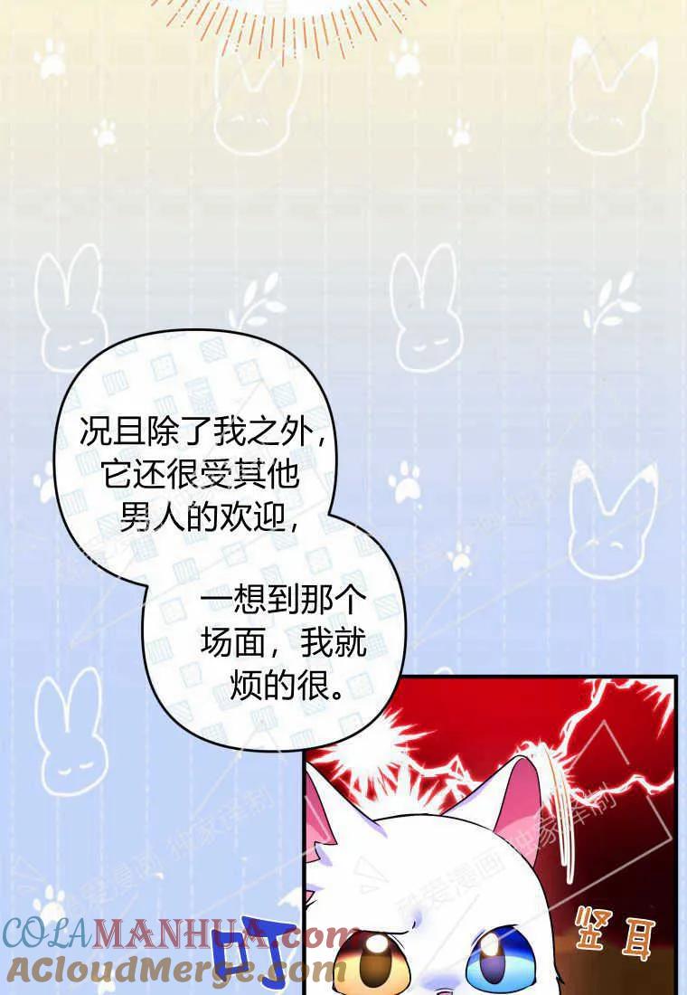 成为苏尔坦珍爱的猫咪 第10话 第61页