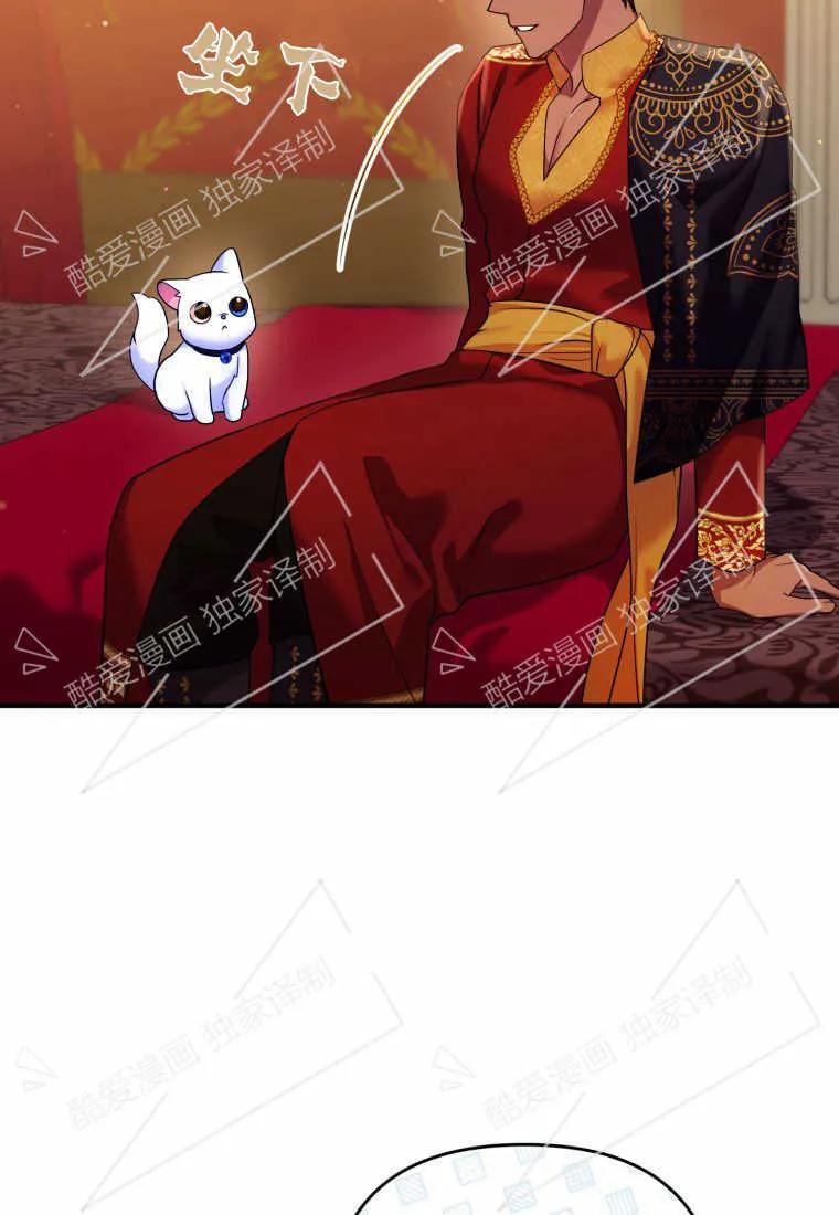 成为苏尔坦珍爱的猫咪 第10话 第59页