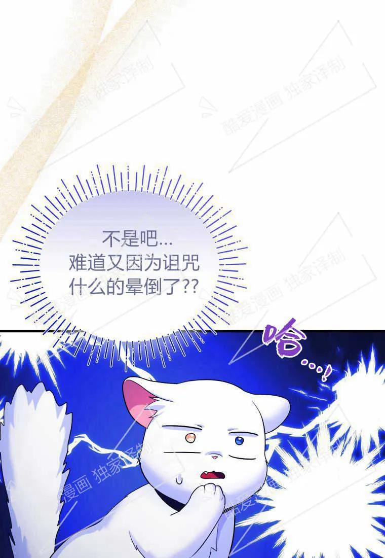 成为苏尔坦珍爱的猫咪 第10话 第15页