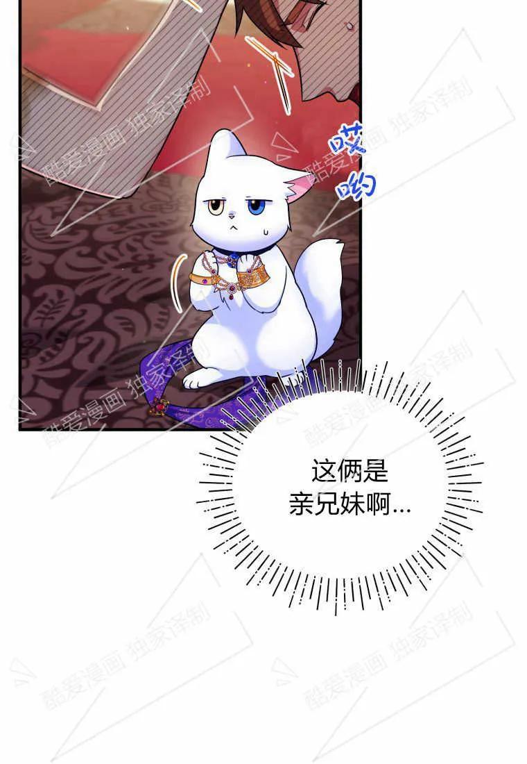 成为苏尔坦珍爱的猫咪 第10话 第42页