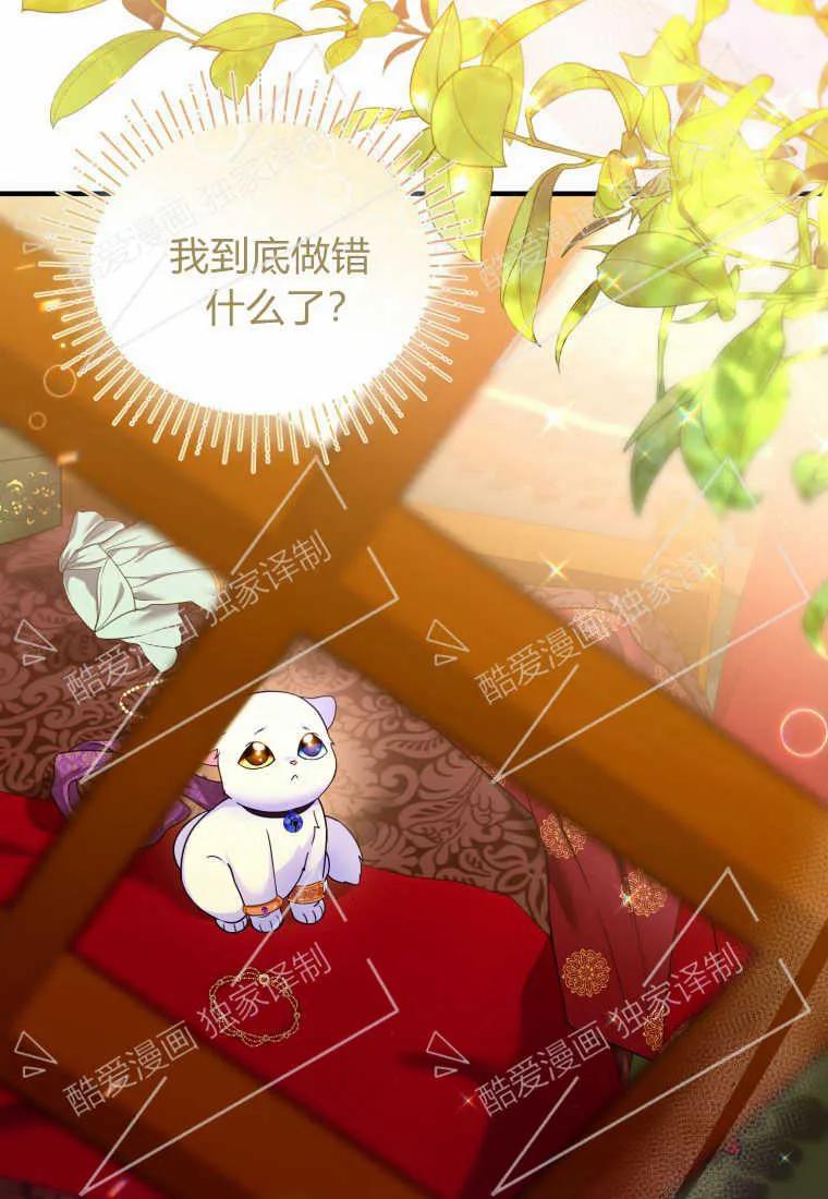 成为苏尔坦珍爱的猫咪 第10话 第48页
