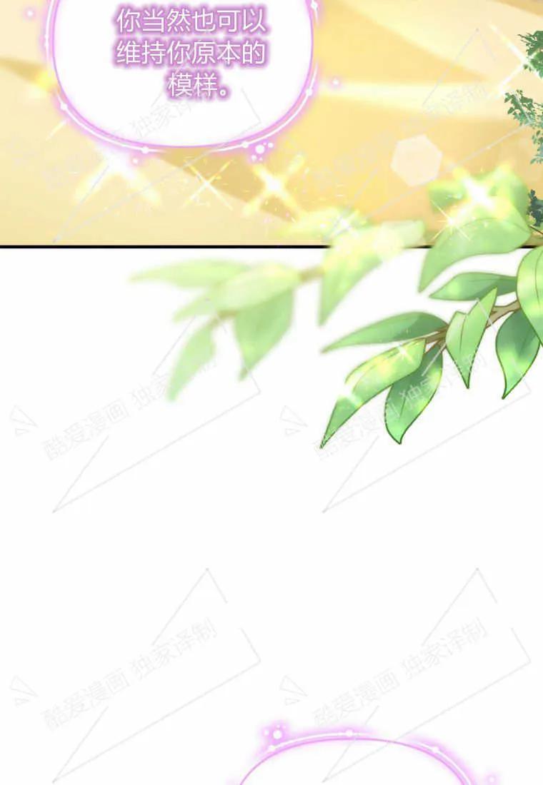 成为苏尔坦珍爱的猫咪 第11话 第20页