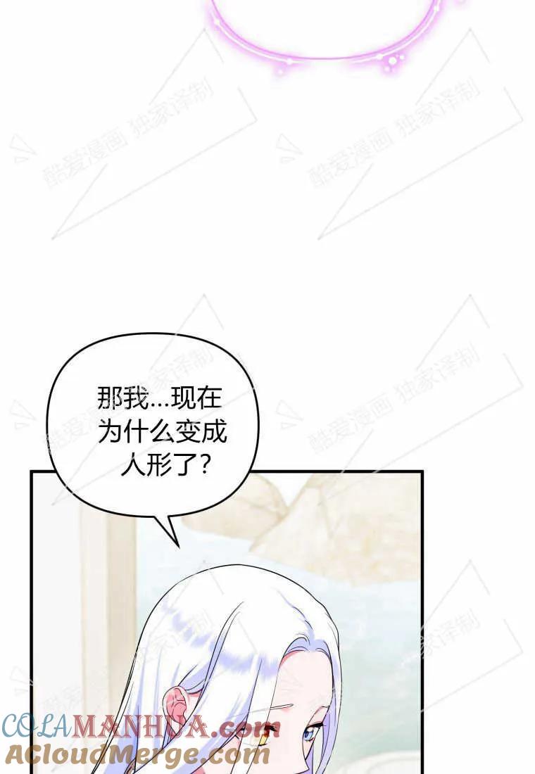 成为苏尔坦珍爱的猫咪 第11话 第17页