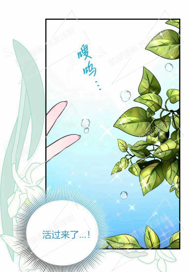 成为苏尔坦珍爱的猫咪 第11话 第46页