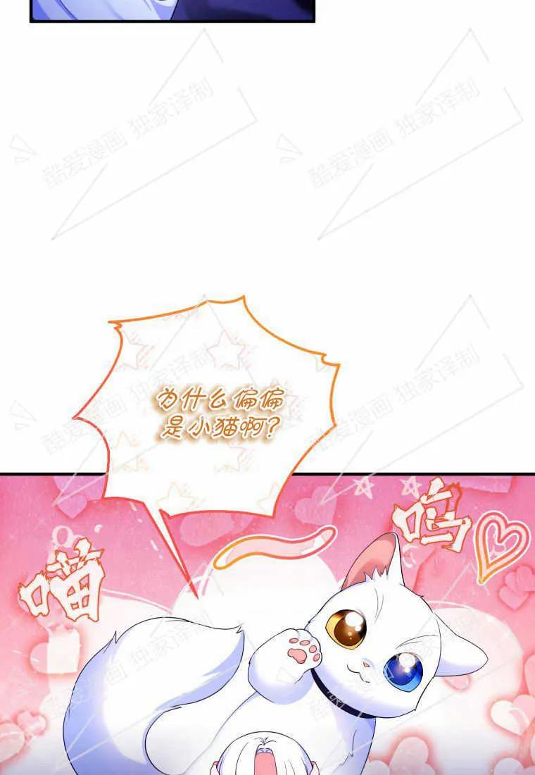 成为苏尔坦珍爱的猫咪 第11话 第14页