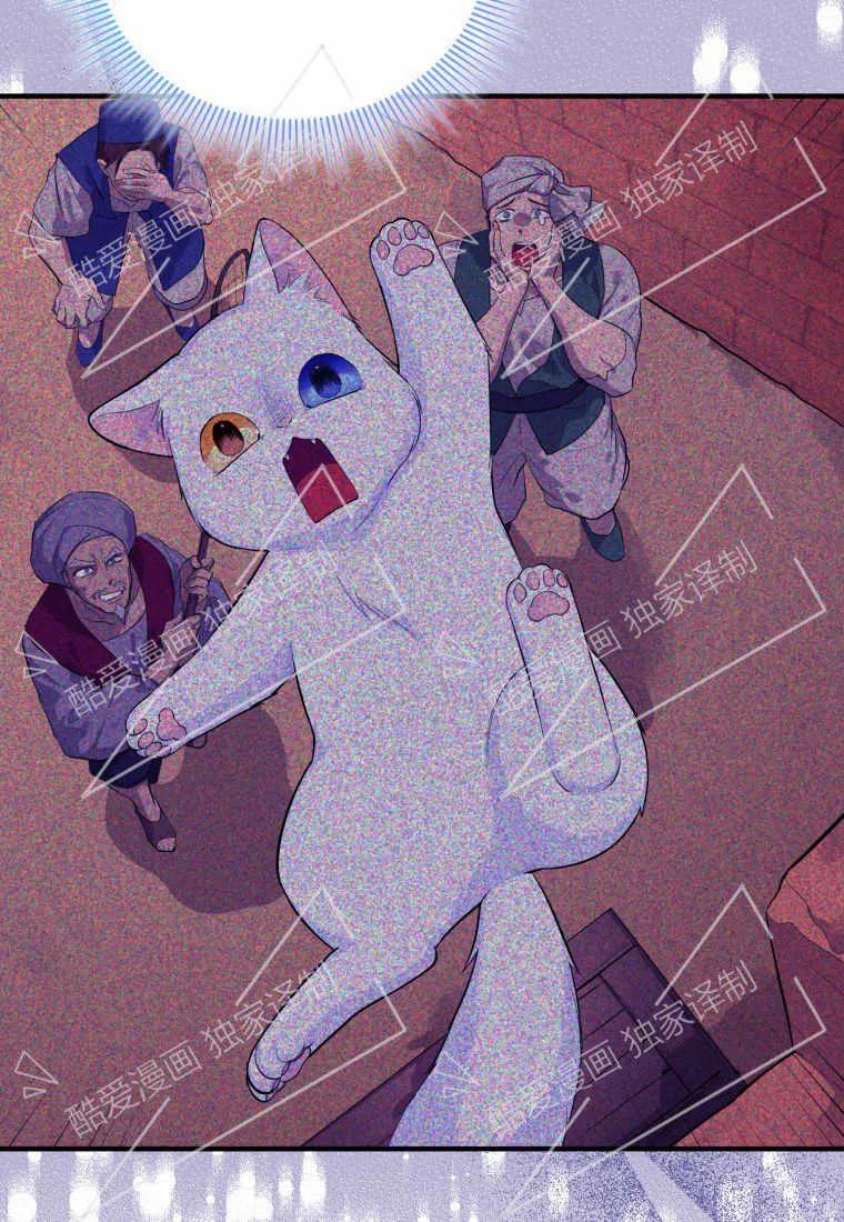 成为苏尔坦珍爱的猫咪 第11话 第42页
