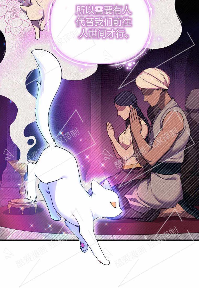 成为苏尔坦珍爱的猫咪 第11话 第12页