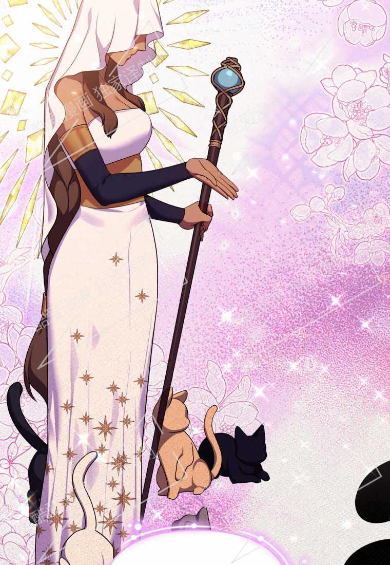 成为苏尔坦珍爱的猫咪 第11话 第11页