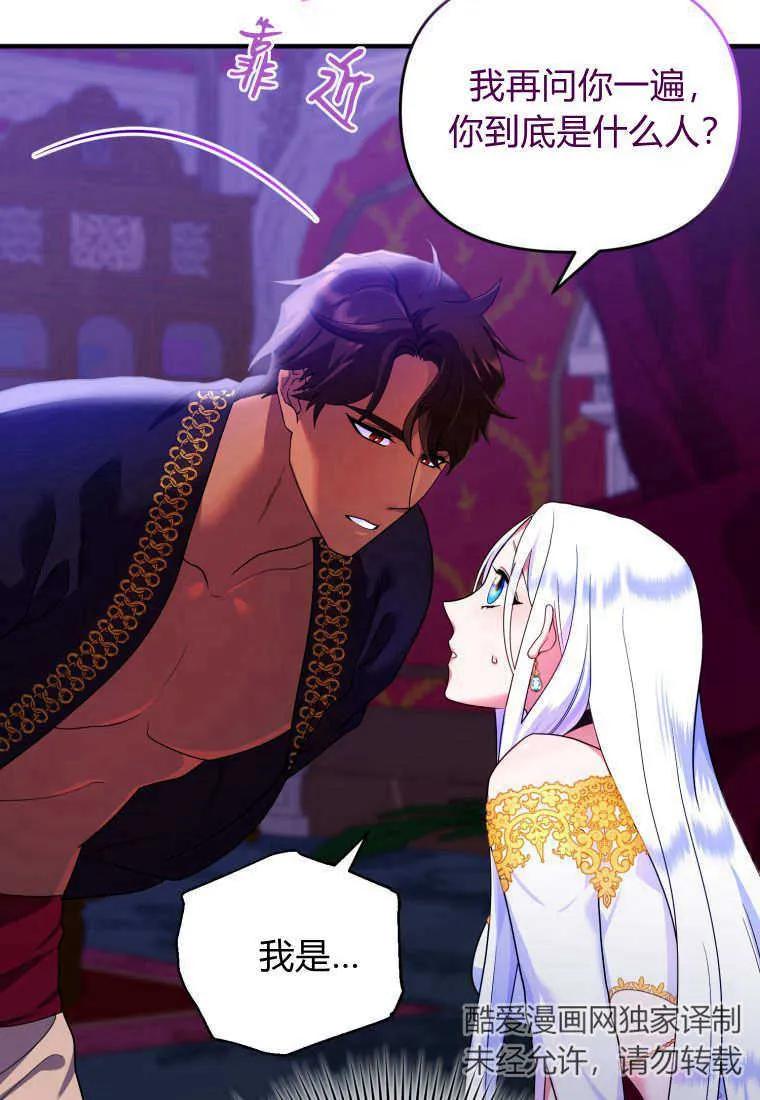 成为苏尔坦珍爱的猫咪 第12话 第77页