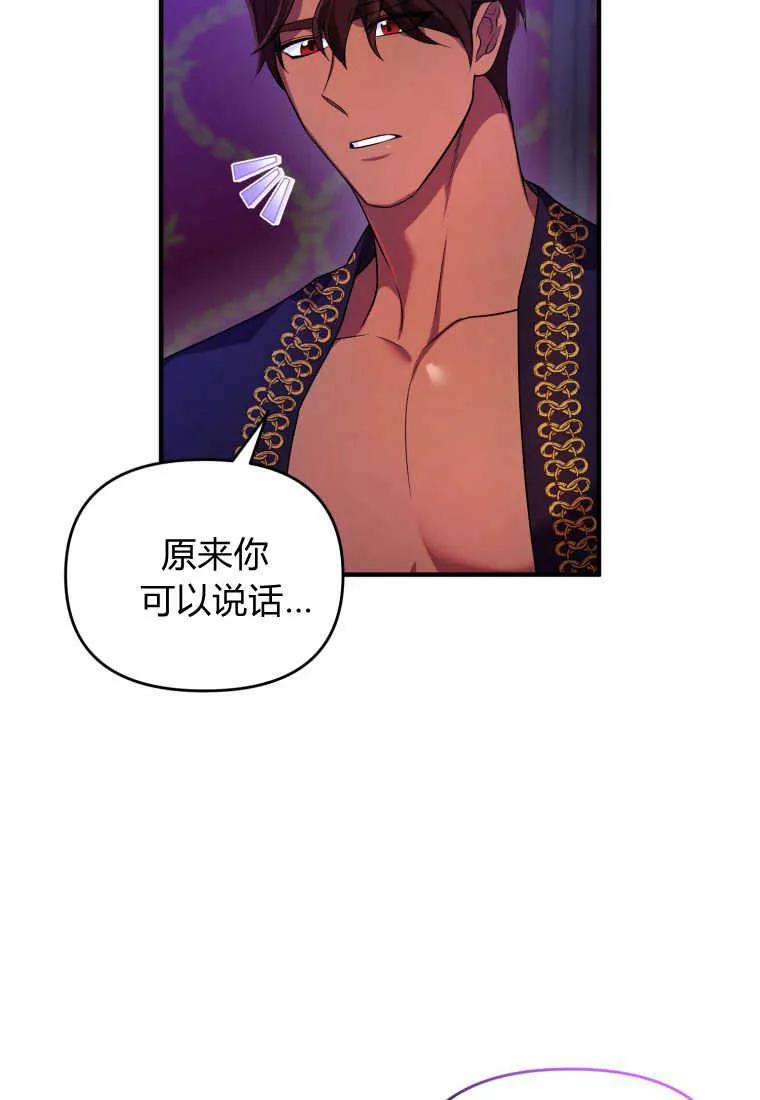 成为苏尔坦珍爱的猫咪 第12话 第76页