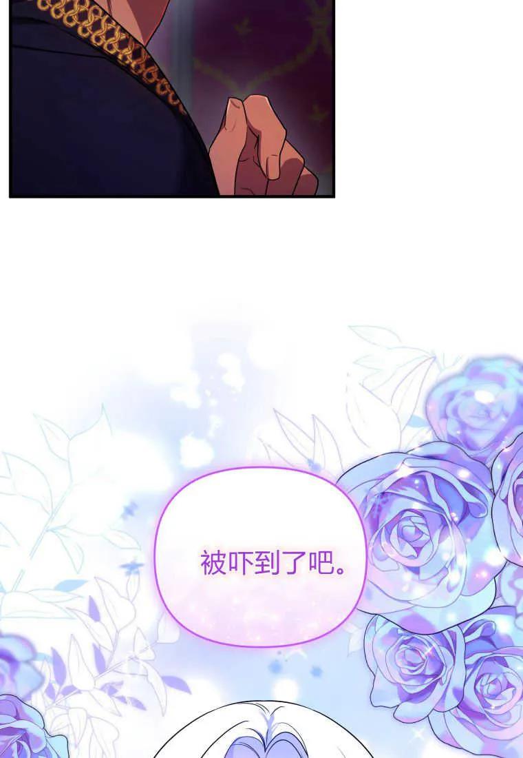 成为苏尔坦珍爱的猫咪 第12话 第67页