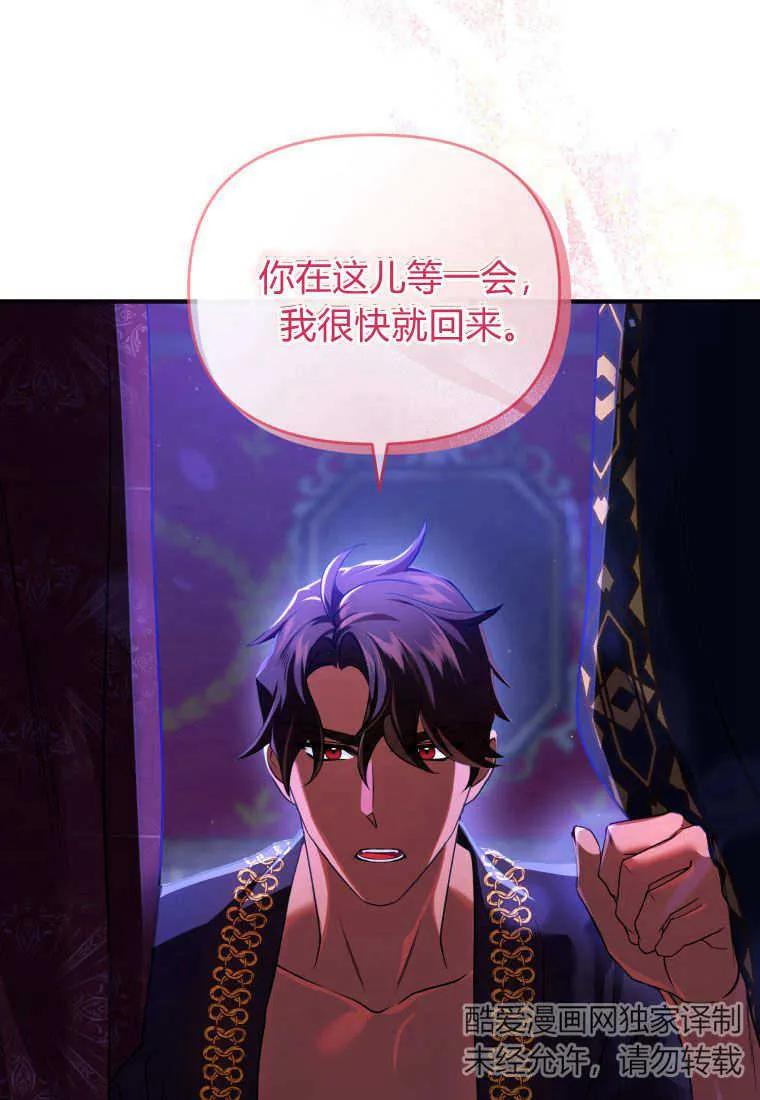 成为苏尔坦珍爱的猫咪 第12话 第94页