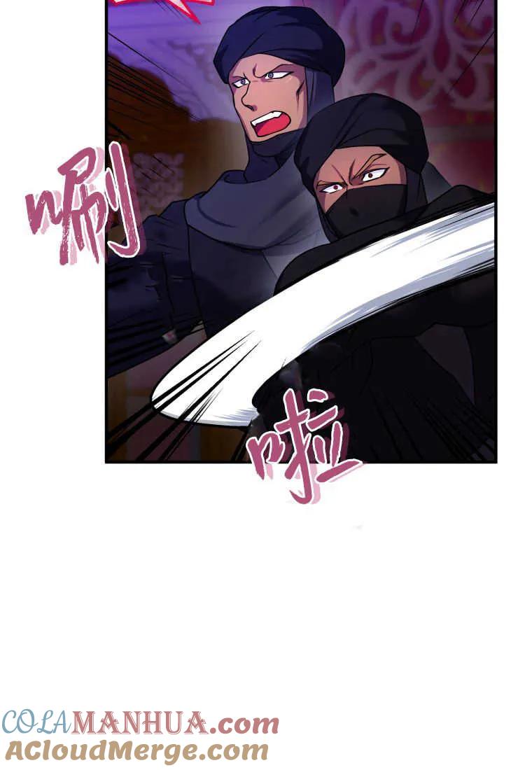 成为苏尔坦珍爱的猫咪 第12话 第12页