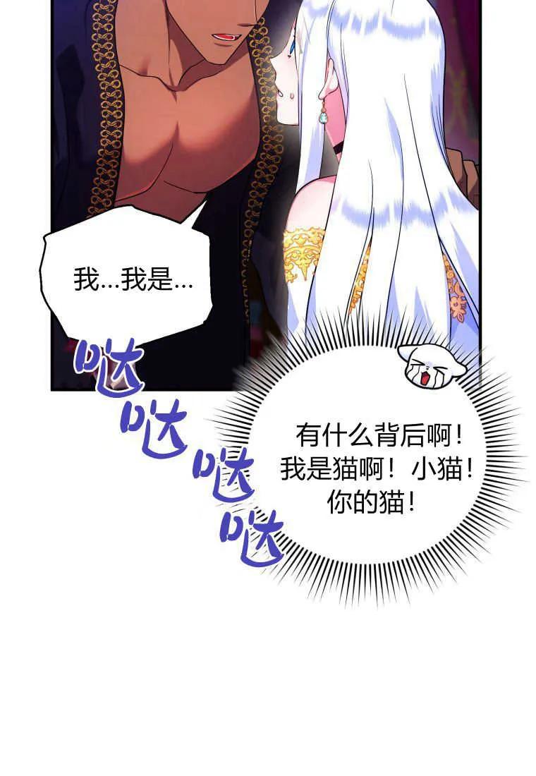 成为苏尔坦珍爱的猫咪 第12话 第85页