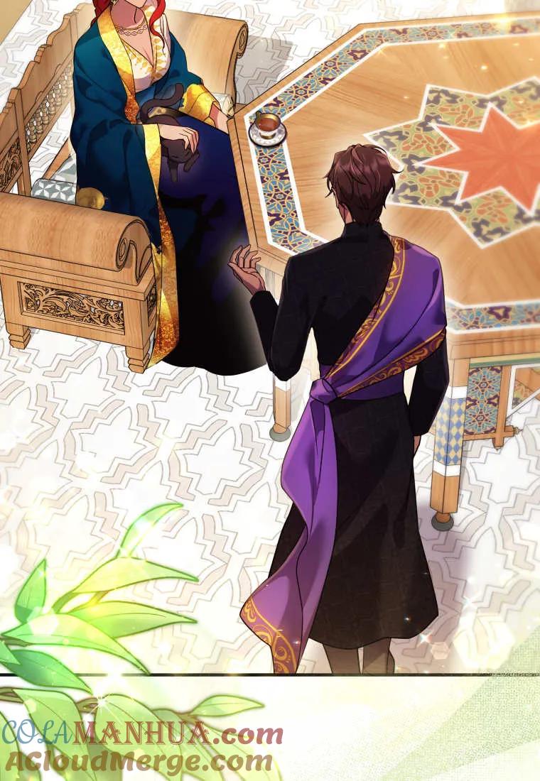 成为苏尔坦珍爱的猫咪 第13话 第19页