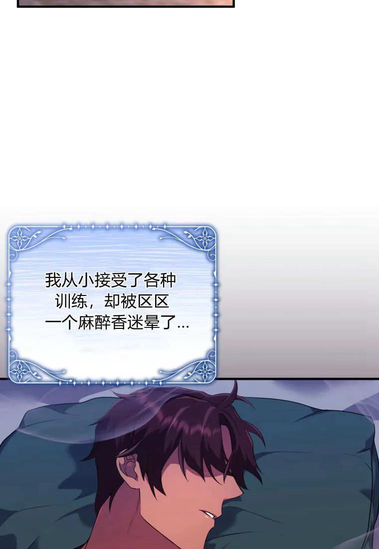 成为苏尔坦珍爱的猫咪 第13话 第44页