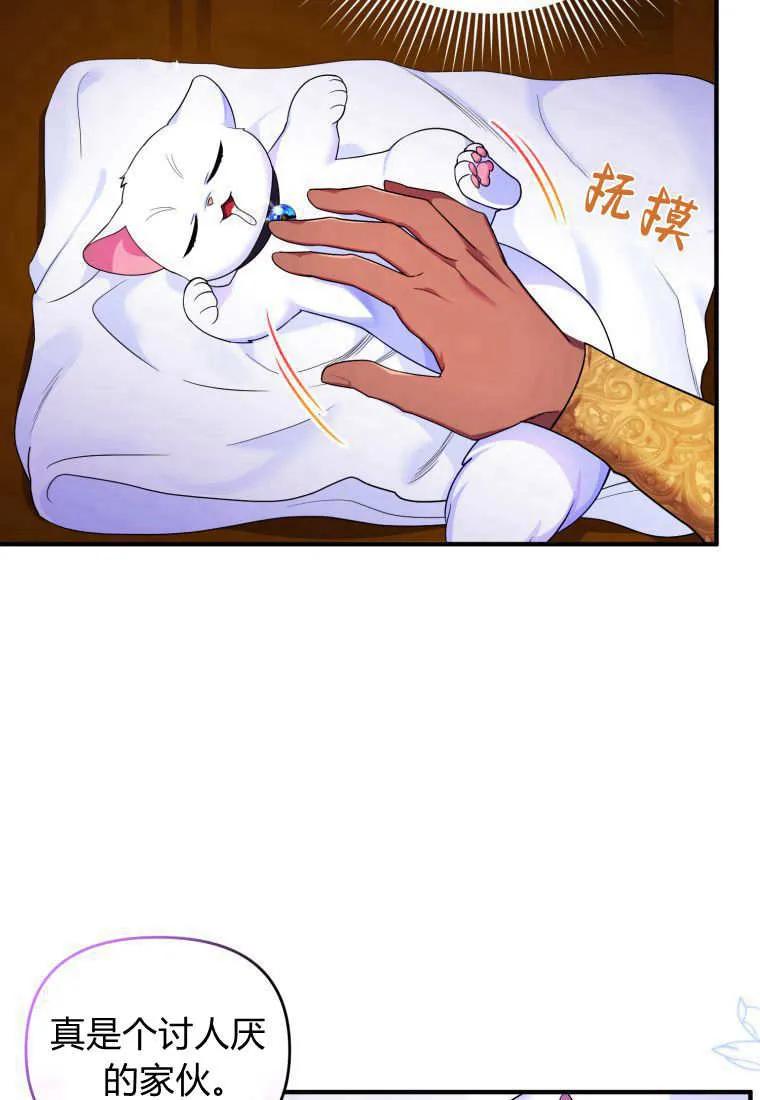 成为苏尔坦珍爱的猫咪 第13话 第83页