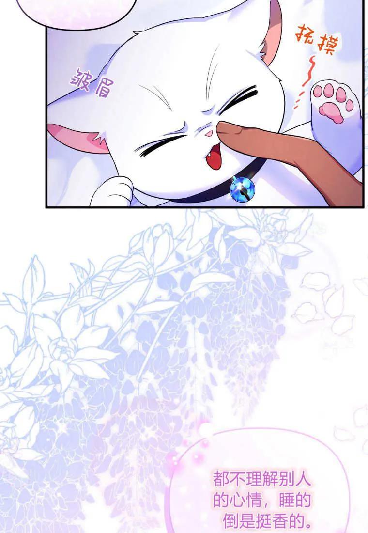 成为苏尔坦珍爱的猫咪 第13话 第84页