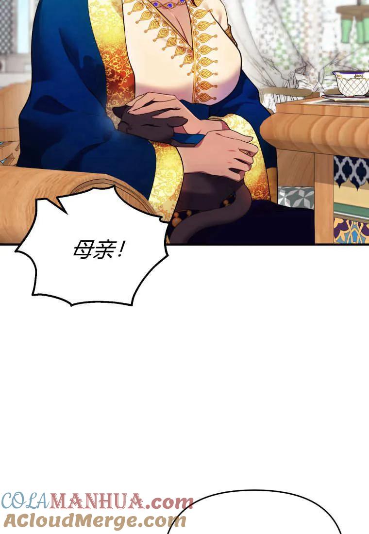 成为苏尔坦珍爱的猫咪 第13话 第22页
