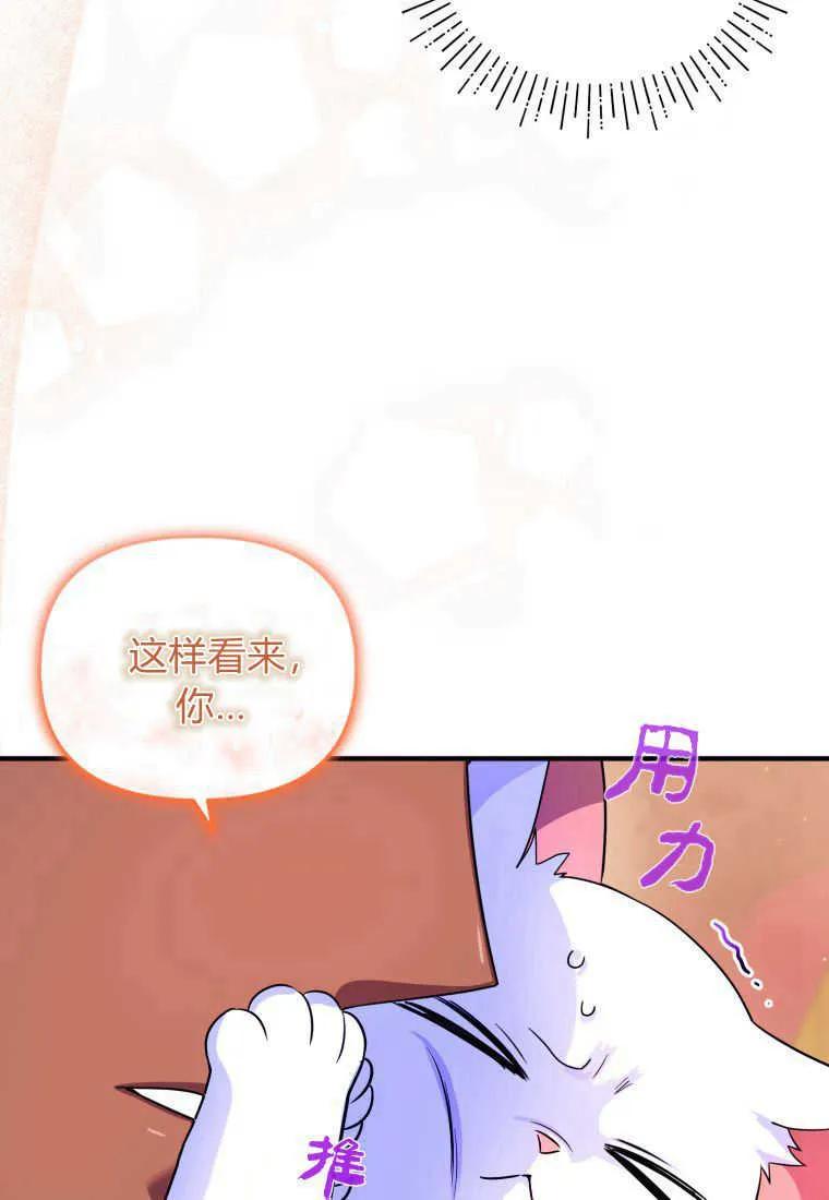 成为苏尔坦珍爱的猫咪 第14话 第24页
