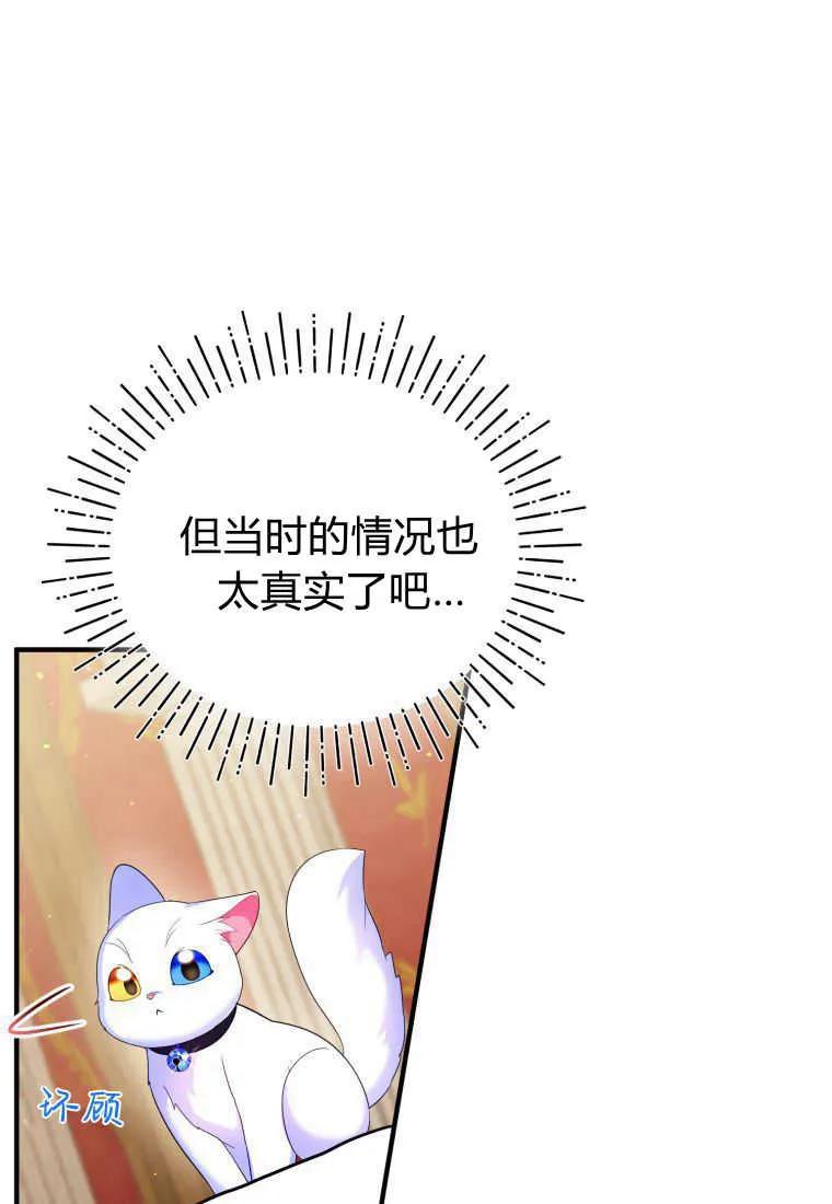 成为苏尔坦珍爱的猫咪 第14话 第6页