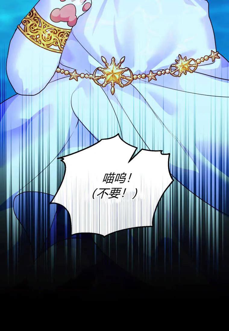 成为苏尔坦珍爱的猫咪 第14话 第104页