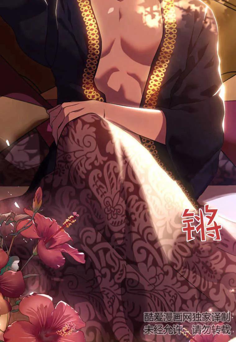 成为苏尔坦珍爱的猫咪 第14话 第12页