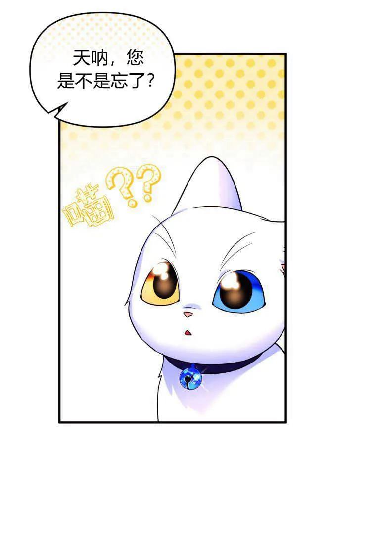 成为苏尔坦珍爱的猫咪 第14话 第40页