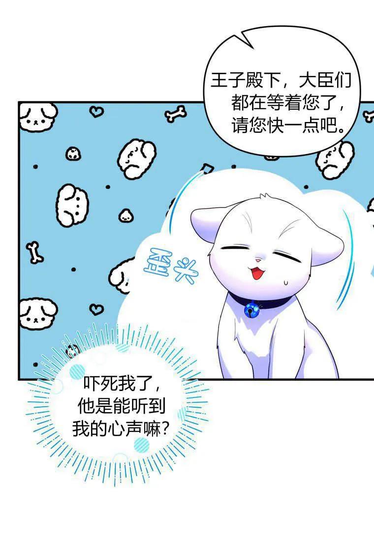 成为苏尔坦珍爱的猫咪 第14话 第31页