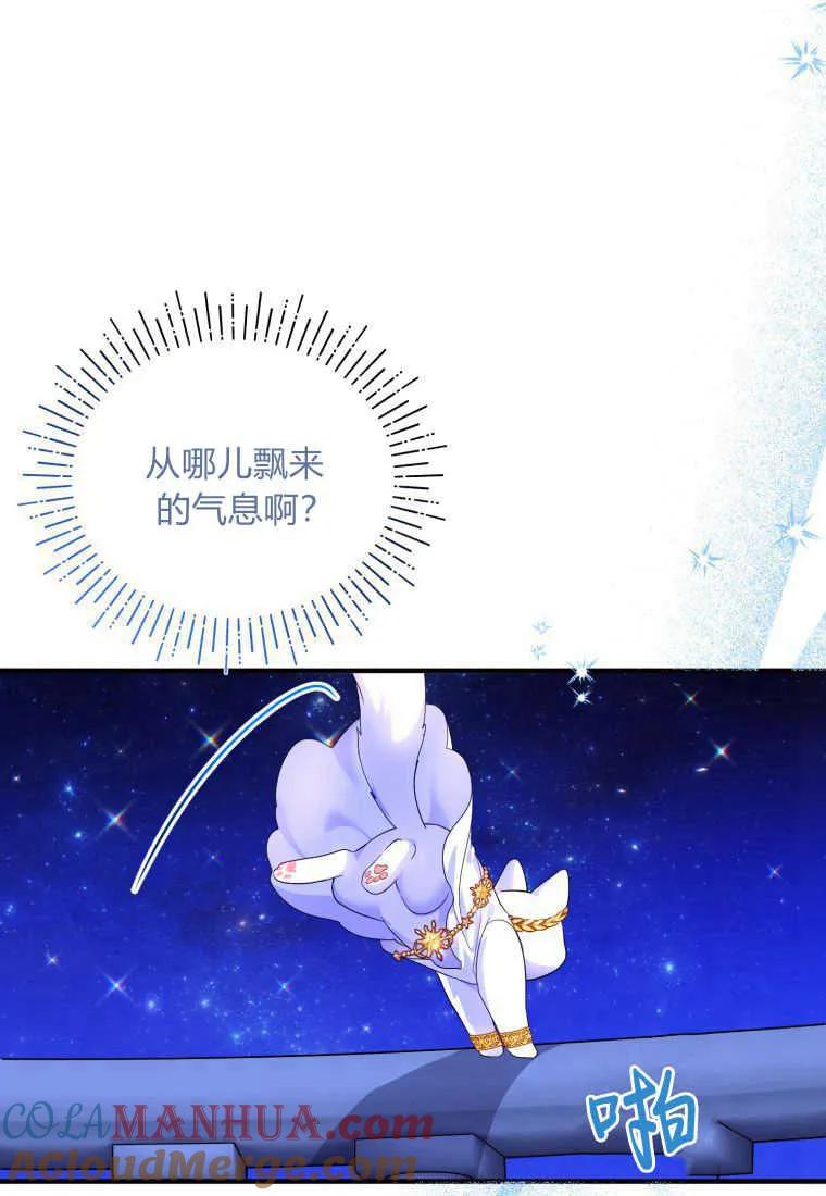 成为苏尔坦珍爱的猫咪 第14话 第85页