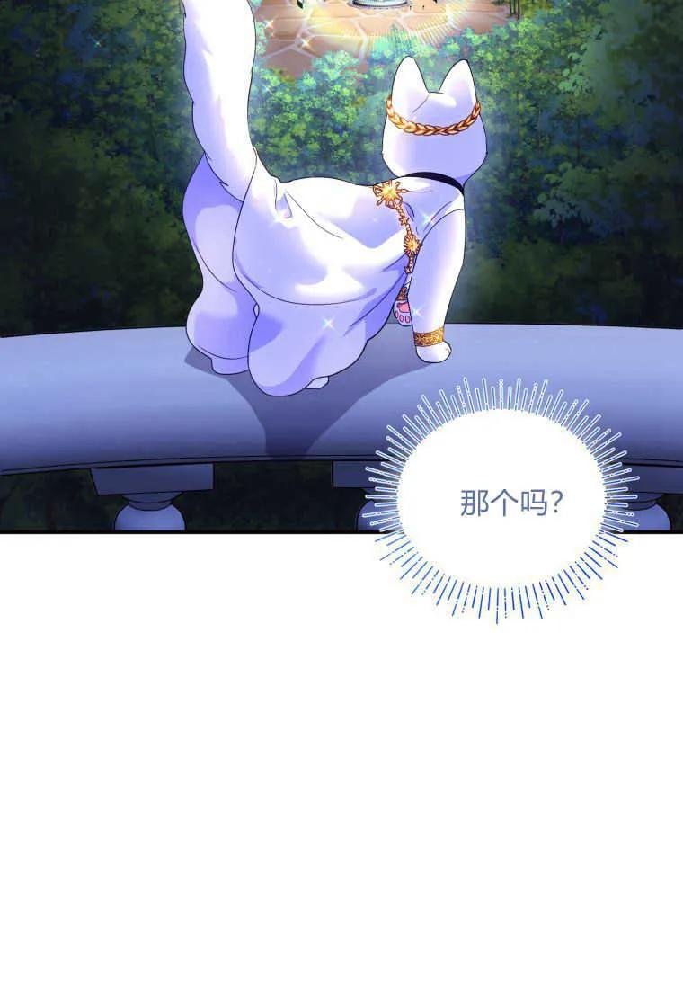 成为苏尔坦珍爱的猫咪 第14话 第87页