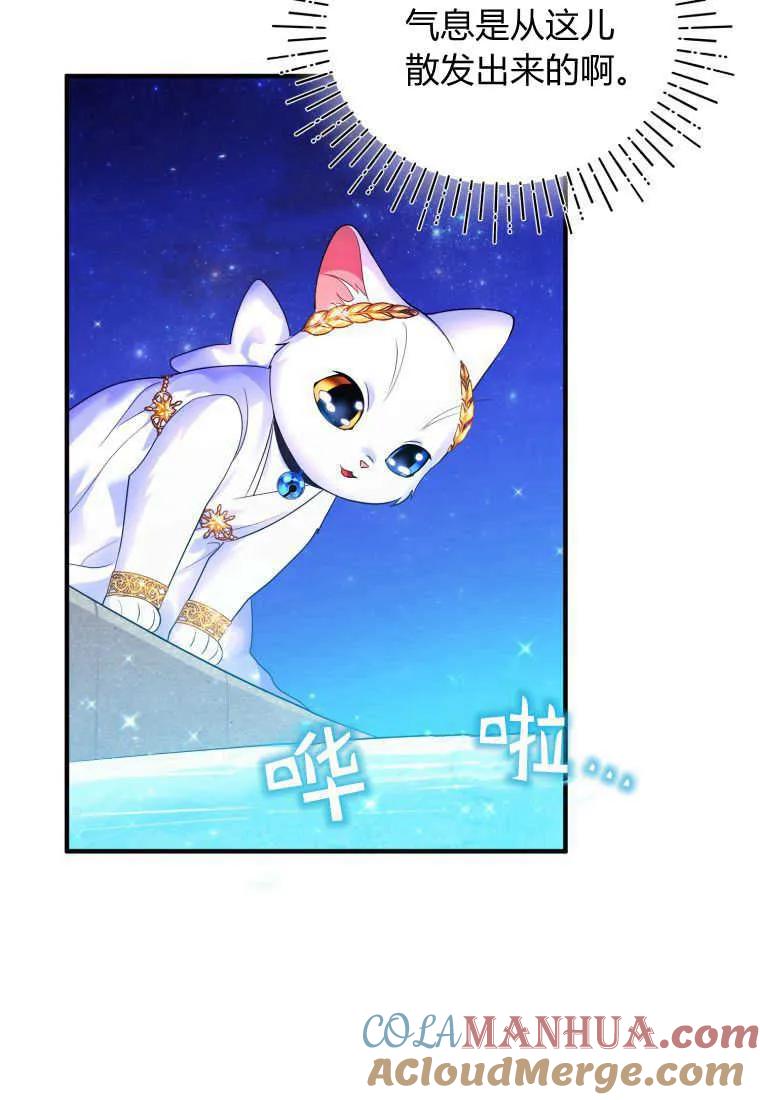 成为苏尔坦珍爱的猫咪 第14话 第93页