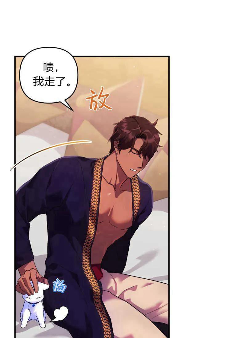成为苏尔坦珍爱的猫咪 第14话 第27页