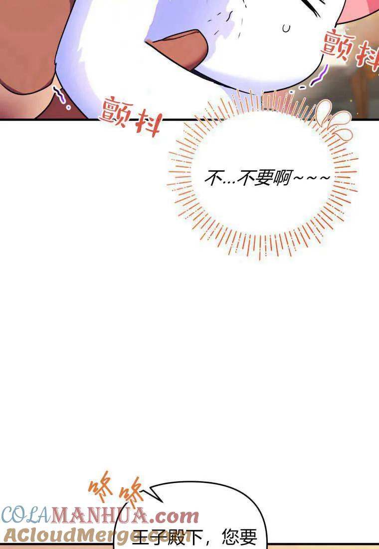 成为苏尔坦珍爱的猫咪 第14话 第25页