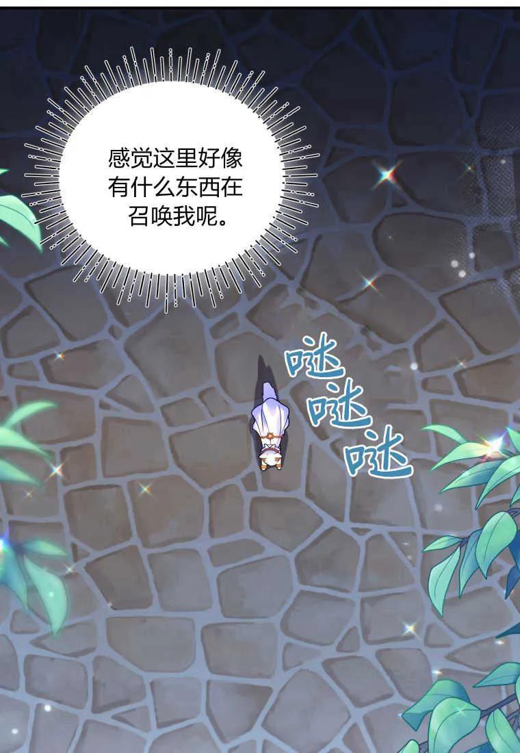 成为苏尔坦珍爱的猫咪 第14话 第88页