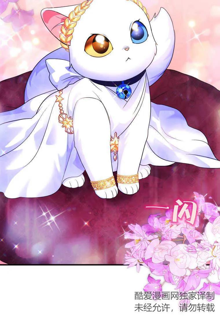 成为苏尔坦珍爱的猫咪 第14话 第66页