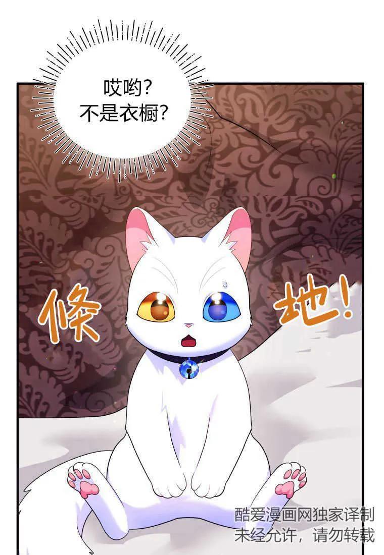 成为苏尔坦珍爱的猫咪 第14话 第3页