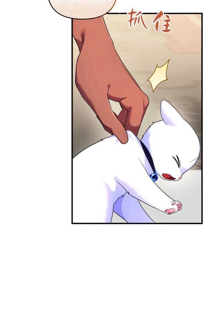 成为苏尔坦珍爱的猫咪 第14话 第15页