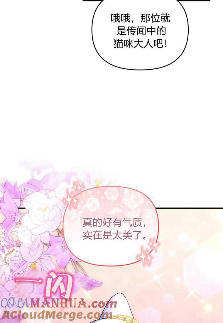 成为苏尔坦珍爱的猫咪 第14话 第65页