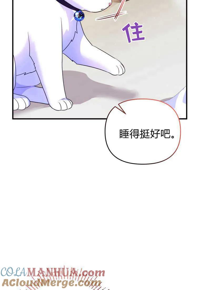 成为苏尔坦珍爱的猫咪 第14话 第9页