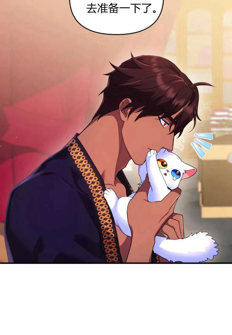 成为苏尔坦珍爱的猫咪 第14话 第26页