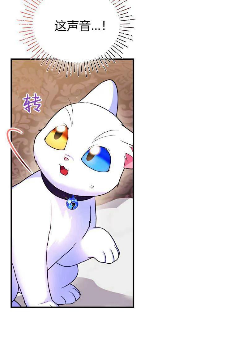成为苏尔坦珍爱的猫咪 第14话 第10页