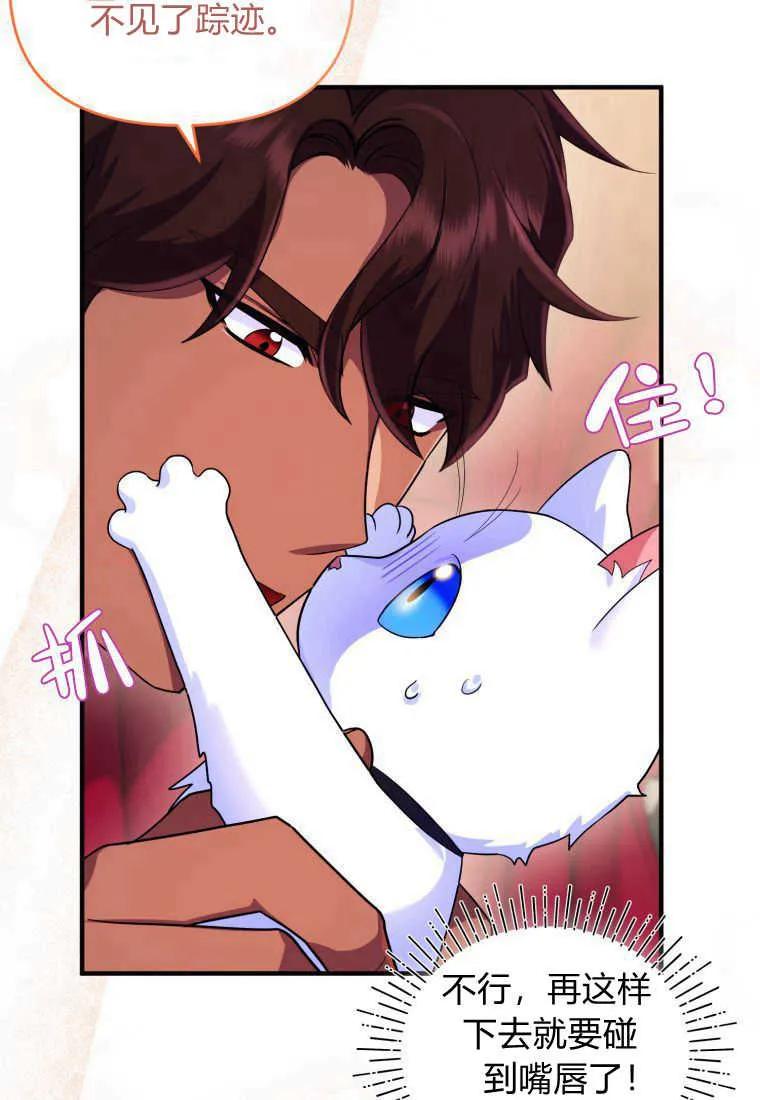 成为苏尔坦珍爱的猫咪 第14话 第23页