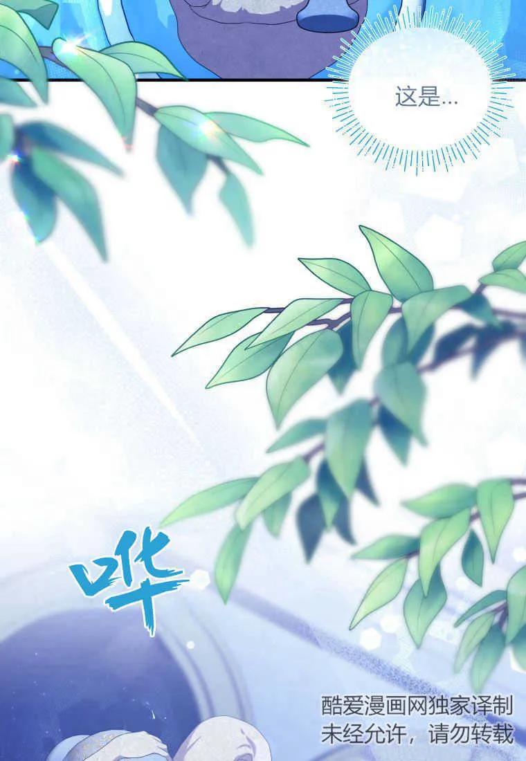 成为苏尔坦珍爱的猫咪 第14话 第90页
