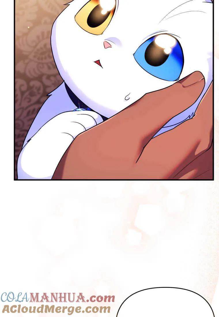成为苏尔坦珍爱的猫咪 第14话 第21页