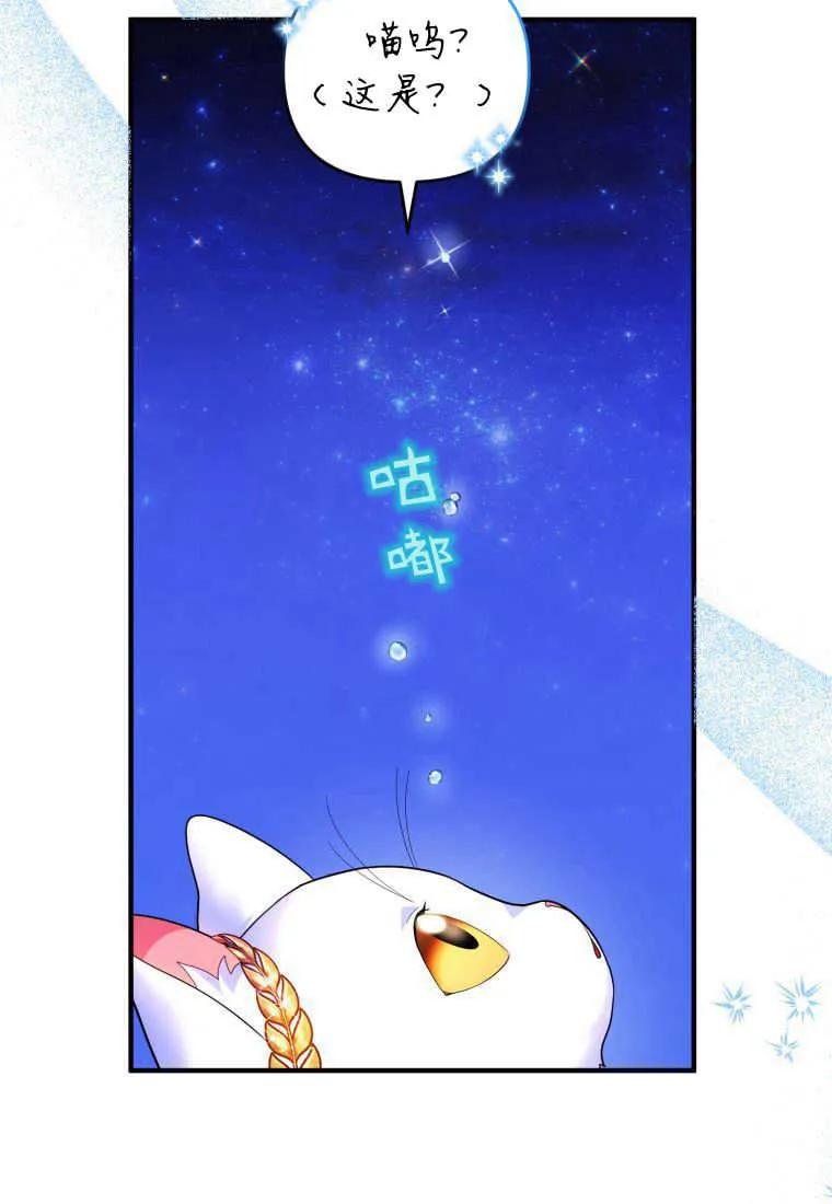 成为苏尔坦珍爱的猫咪 第14话 第84页