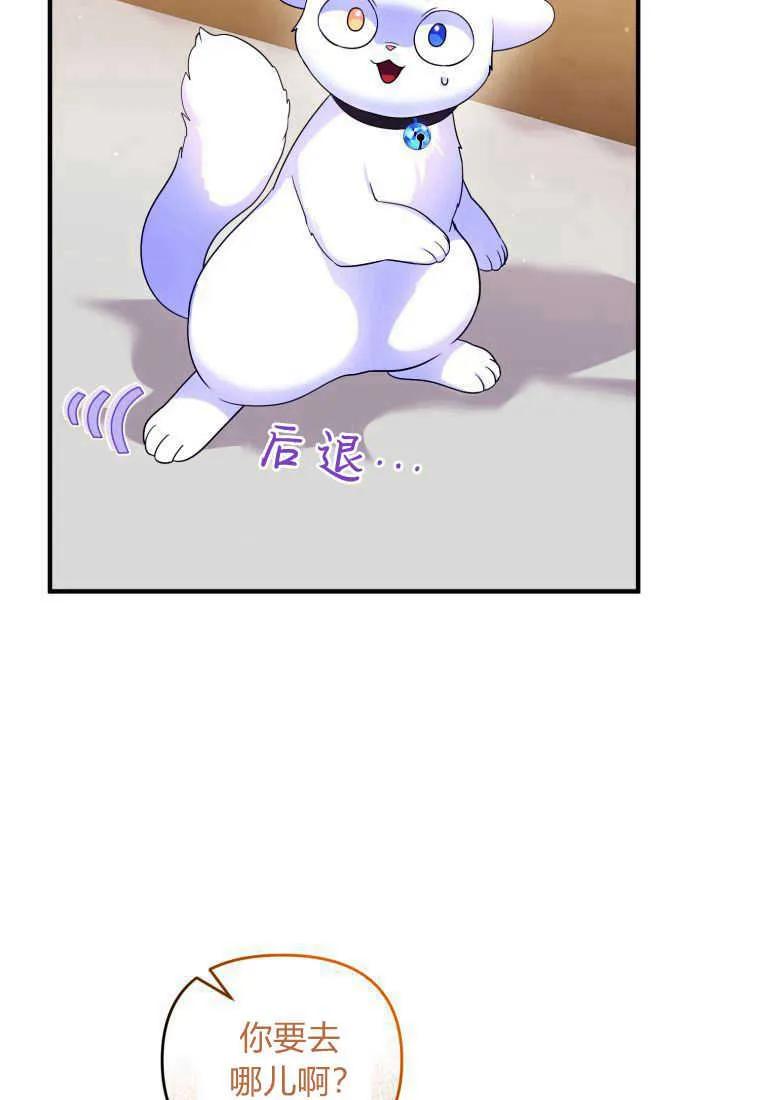 成为苏尔坦珍爱的猫咪 第14话 第14页