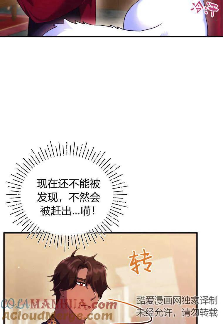 成为苏尔坦珍爱的猫咪 第14话 第29页