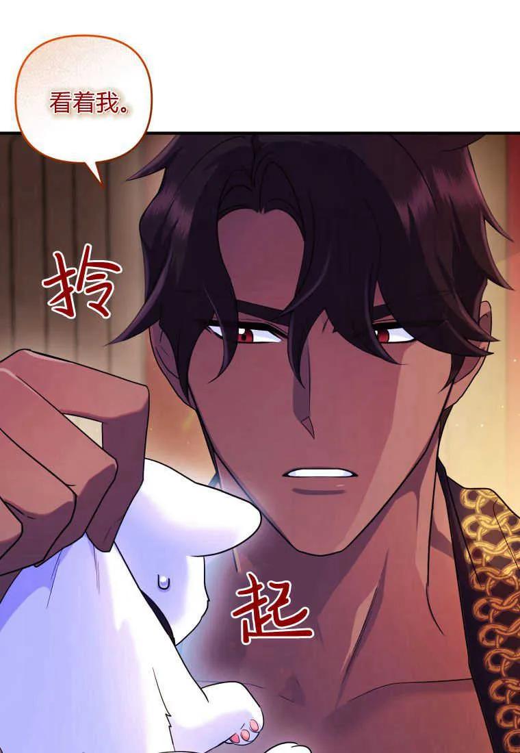成为苏尔坦珍爱的猫咪 第14话 第16页