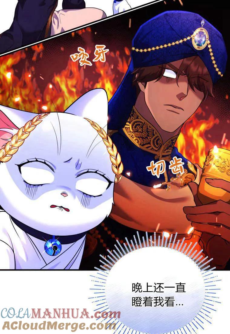 成为苏尔坦珍爱的猫咪 第14话 第77页